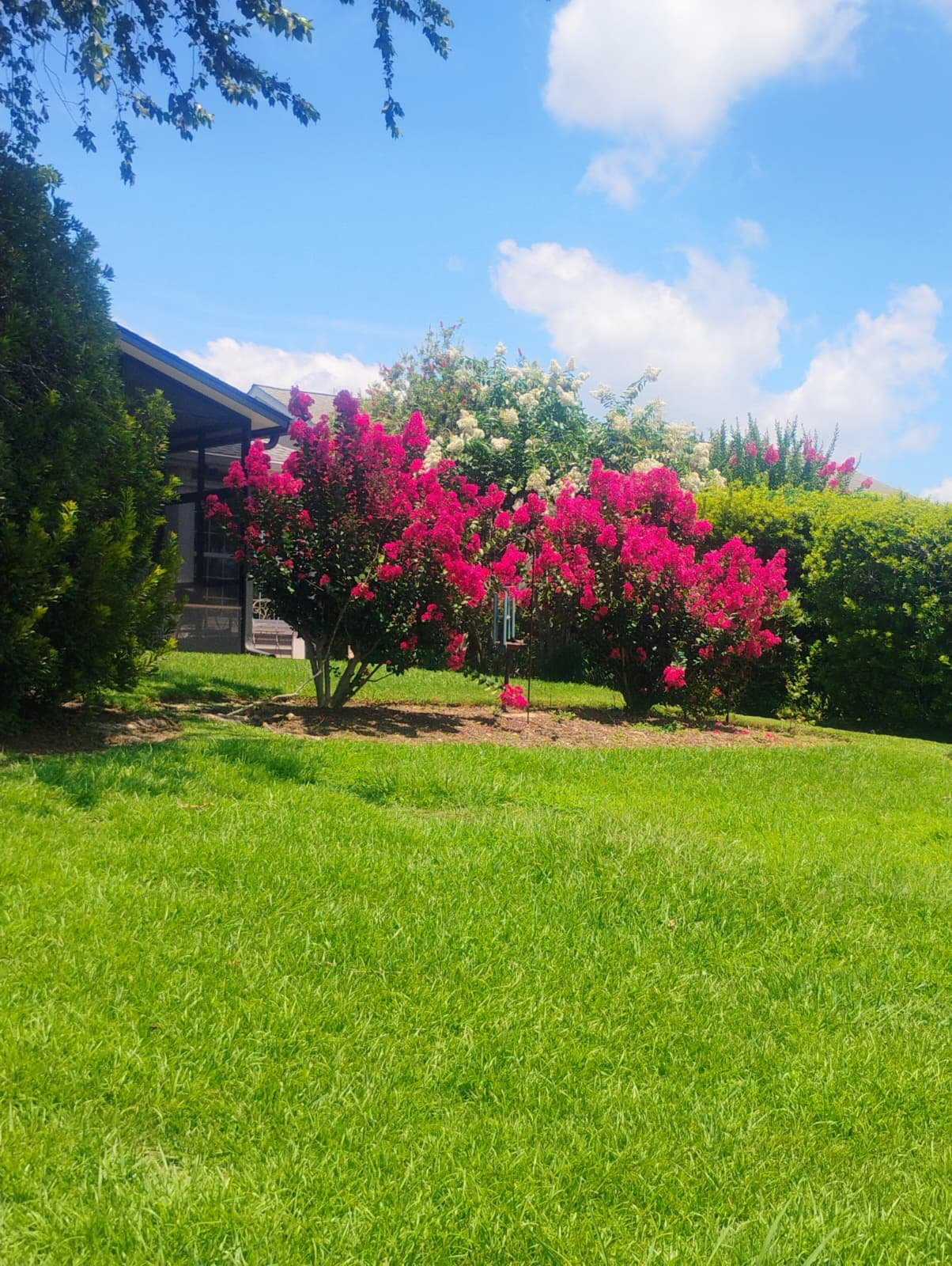 Lawn mowing and clean yard maintenance
